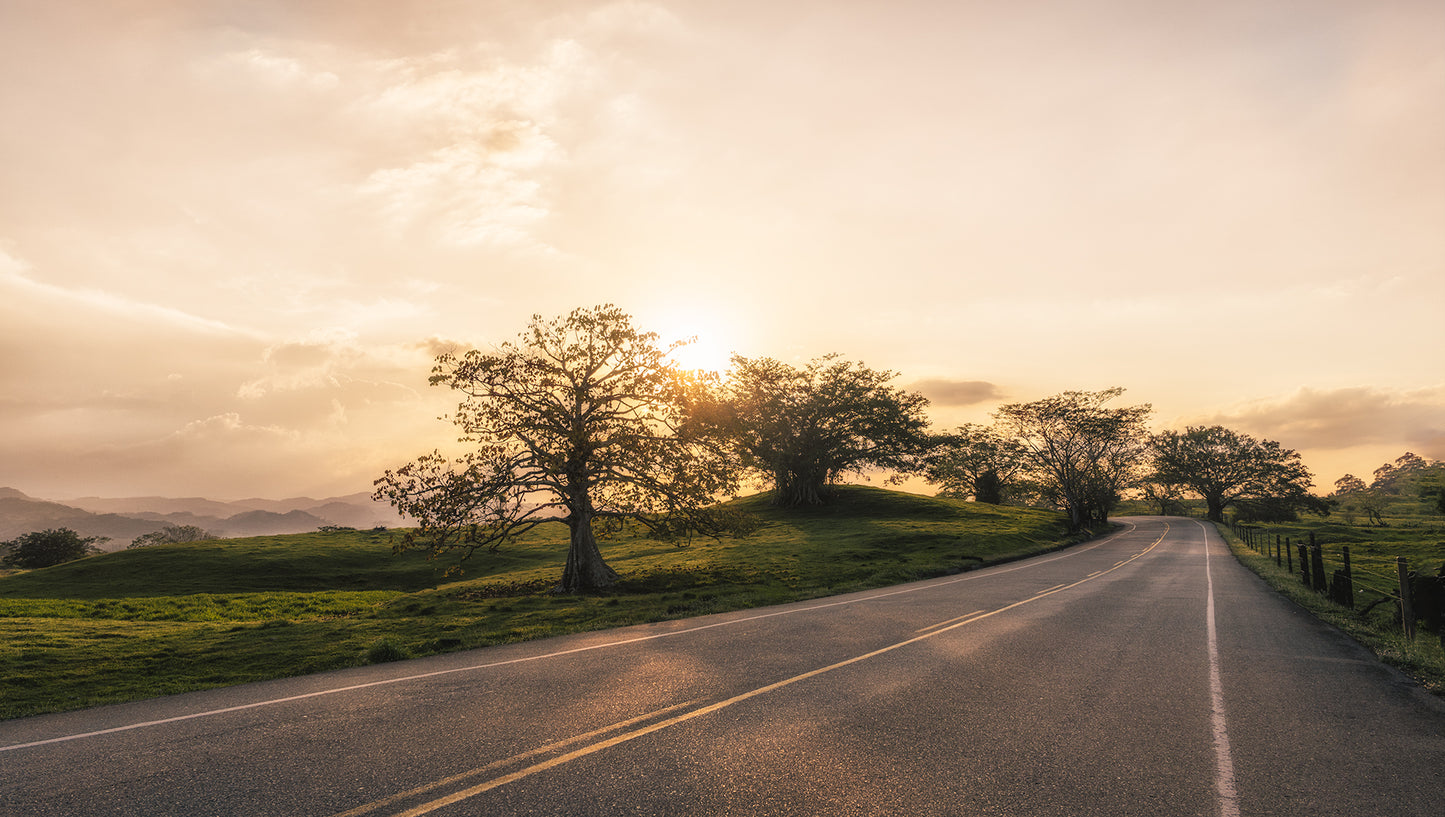 Camino al atardecer