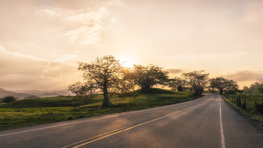 Camino al atardecer